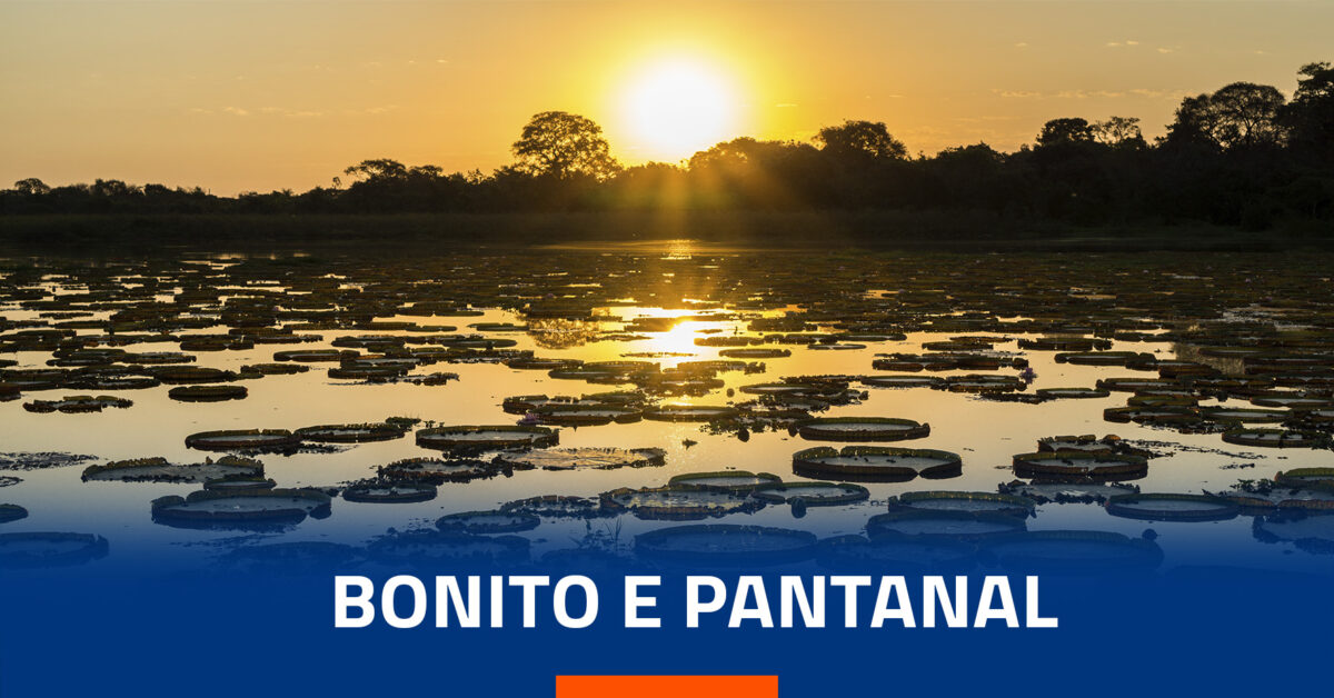 O Que Fazer no Pantanal? 17 Passeios e Atrações em 2023